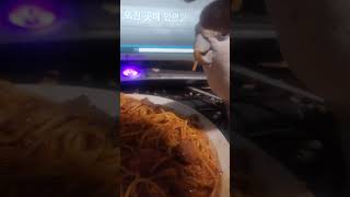 #스파게티먹방 #앵무새 #듀컵코카투 #코카투 #듀컵 #birds