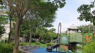 앵무새와 공원 산책  #썬코뉴어