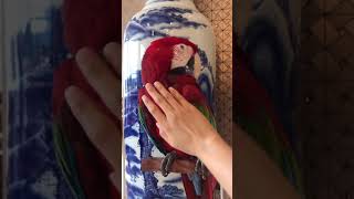 금당이를 만지면 이렇게 됩니다