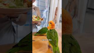 피곤한 하루의 시작!!