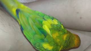 썬코뉴어 사람을 잘 따르네요