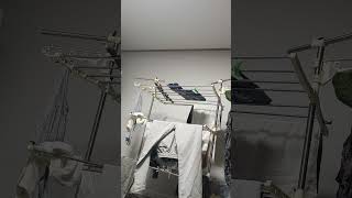 귀농귀촌 아마존앵무새 말하고 놀아주기