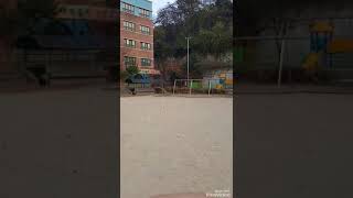 코뉴어 자유비행