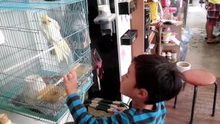 규민이랑 금강앵무랑