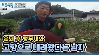 은퇴 후 앵무새와 고향으로 내려왔다는 남자