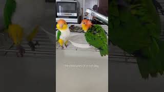 the pleasures of a hot day. / 暑い日の楽しみ♪ #shorts