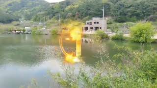 청금강 앵무새 청하 친구 써니 생애첫 자유비행