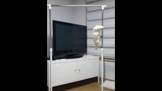 Umbrella Cockatoo &quot;Tae si…