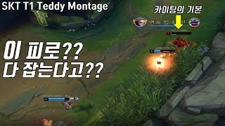 이 피로 다 잡는다고?? 테디의 놀라운 카이팅 테디의 …