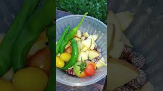 마음이 급해진 아마존C