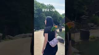 삼성궁 나들이3 .                    …