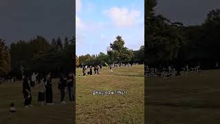 서울숲에서 신나게 비행하다 돌아오는 앵무새 #앵무새자유…