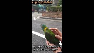 사랑이와축복이의 첫 세상 나들이~~^^