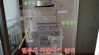 앵무새 코뉴어 베란다에서 겨울나기 [앵무새친구TV]