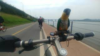 카이큐 한강라이딩