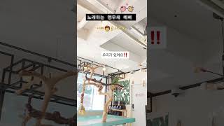 [예삐]노래하는 앵무새 ~                …