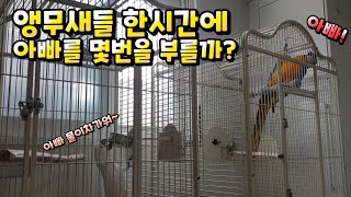 한시간에 아빠를 몇번 부를까?