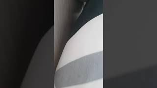 썬코뉴어를 소개 합니다