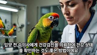 건강한 코뉴어 앵무새 입양하기