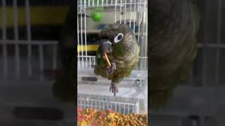 너희는 좋겠다 귀여워서