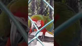 #travel#amazing #country #macow #maldives