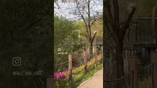 홍금강 자유비행 | #앵무새 #parrot #자유비행 #animal