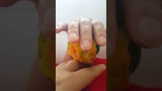 썬코뉴어 졸림2