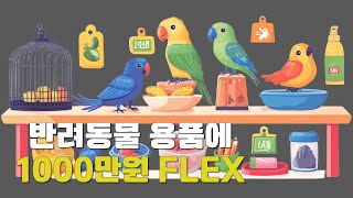 반려동물 용품에 1000만원 이상 들었습니다... 하우머치 2탄
