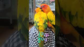 썬코 커플의 달달한 저녁데이트^^