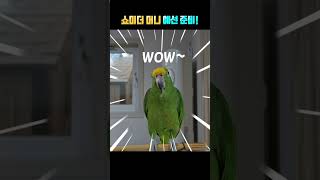 쇼미 더 머니 예선 준비!!