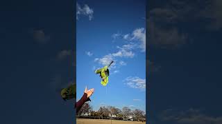 #아마존앵무새 하강훈련 #sky #parrot #birds #말하는앵무새