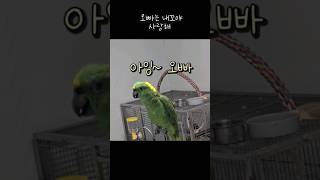 아랑이가 나가서 오늘도 밉다고 징징대는 사랑이 #아랑이…