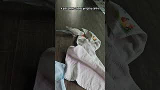 #빨래갤때에도 엄마랑 놀아 달라는 앵무새  # 엄마껌딱…