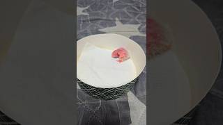 카이큐 앵무새 부화 2일차