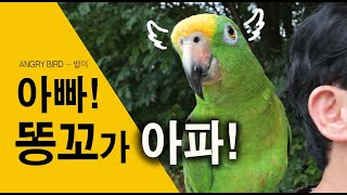 아빠 똥꼬가 아퍼~ㅎㅎ / 수다 + 버럭 + 막말 + …