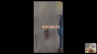 소개영상 2. (#크레스티드게코 #코뉴어 #구피 #앵무새 #도마뱀 #물고기)