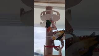 카이큐가 카이큐하네요ㅋㅋㅋ