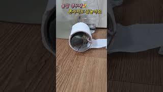 혼자놀기의 진수를 보여주는 코뉴어앵무새  그이름은 &q…