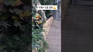 앵무새 호출훈련! [샛별이]