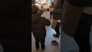 하얀 양말을 싫어하는 카이큐앵무새