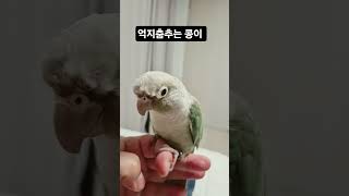 코뉴어운동시키기