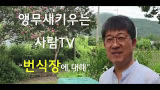 번식장에 대하여 About The Cage for Breeding
