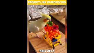 The Must-Have Toy for Your Birds!  #shorts