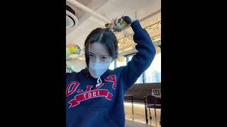 카이큐와의 전쟁