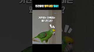 앵무새가 강아지를 부르네~~~ㅎㅎ