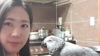 실시간 해리젤리 20190318