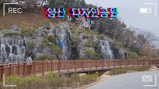 양산 디자인공원에서 청금강 대박이와 까마귀