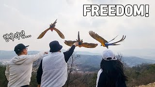 아마존 열대조류를 동네 뒷산에 날려주었는데.. 갑자기 …