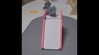 미끄럼틀 완전정복! #parrotlet #parrot …