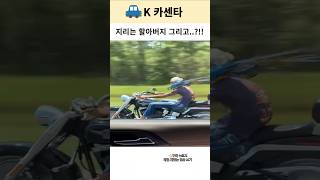 영혼의 파트너 앵무새 ㅋㅋㅋ #shorts